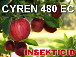 CYREN 480EC