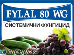 FYLAL 80 WG