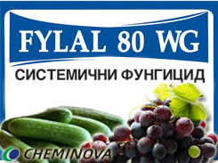 FYLAL 80 WG FYLAL 80 WG